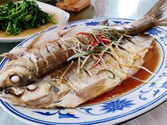 清蒸白丝鱼-状元楼(金溪路店)