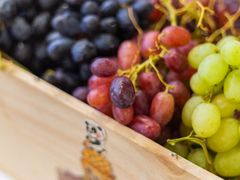 -歎雪糕低糖低脂Gelato冰淇淋