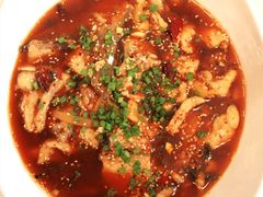 麻辣翘锅鱼-自贡盐帮菜·玩辣餐厅(樱花园西街店)