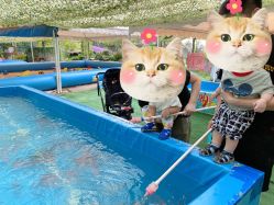 -萌宠亲子动物乐园(槐房万达店)