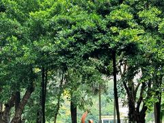 -深圳国际园林花卉博览园