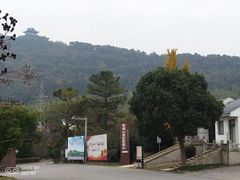 -呼吸森林·生态农庄农家乐私房菜