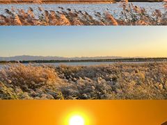 -野鸭湖国家湿地公园