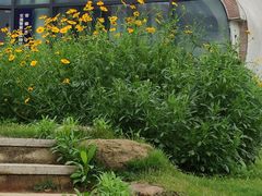 -柳湖沙月沙滩公园