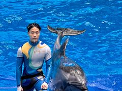 -海合安成都极地海洋公园