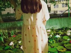 -厦门海湾公园游乐场