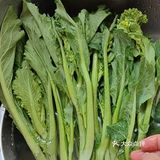 清炖春天菜苔胡萝卜🥕