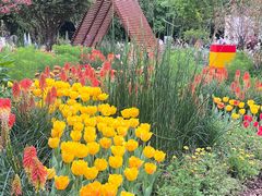 -深圳仙湖植物园