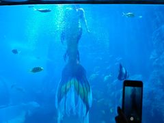-左海海底世界