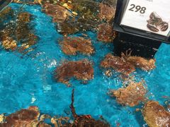 -盒马鲜生(曜一城店)
