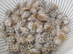 -九毛九西北菜(百信广场店)