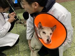 -成都民大动物医院