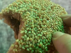 -满记烧饼(牛街东里小区一区店)