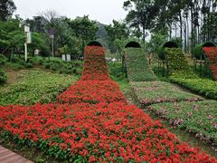 -广州市石门国家森林公园