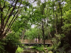 -云岫谷自然风景区