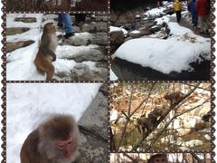 -太湖源风景区