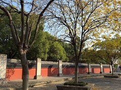 -观潮胜地公园