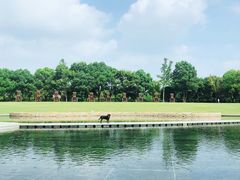 -上海月湖雕塑公园