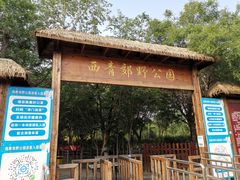 -西青郊野公园