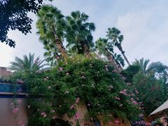 -马洛雷勒花园