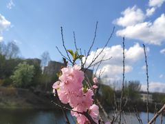 -长春公园(普阳街道)