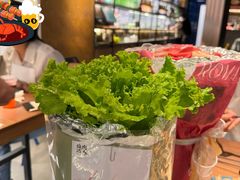-烧肉达人•炭火烧肉(新天地店)