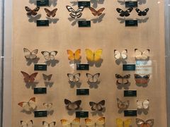 -陕西自然博物馆