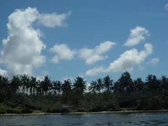 -东郊椰林