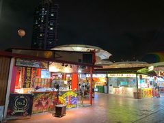 -锦江乐园舞狸花花游园会(夜场专享)