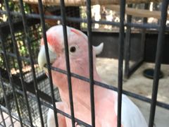 -可伦宾野生动物保护区