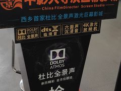 -中影大导演巨幕影城(深圳西乡店)