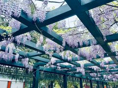 -北京市劳动人民文化宫(太庙)