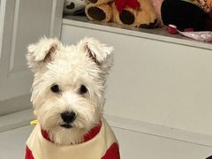 -DQ·蛋糕·冰淇淋(奥林匹克广场店)