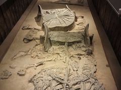 -北京大葆台遗址博物馆