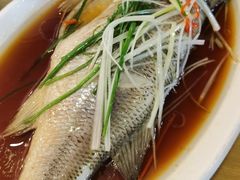 -台北楚楚园馅饼粥(虹桥南丰城店)