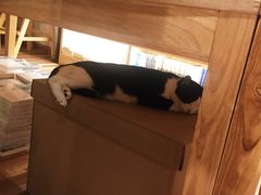 -猫的天空之城概念书店(杭州南宋御街店)