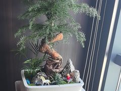 -大拙里·精致融合菜(沙湖桃源国际店)