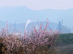 -白水寺森林公园