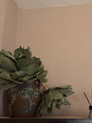 -香秀空间科技抗衰·美容中心