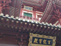-新加坡佛牙寺龙华院