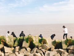 -南汇嘴观海公园