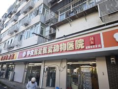 -中农大我爱我爱24h动物医院·中医针灸·猫专科·骨科医疗中心(双井店)