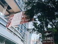 -上海市东方医院(总院)