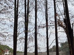 -青龙山国家森林公园