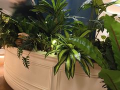 -狮王府淮扬菜(万象城店)