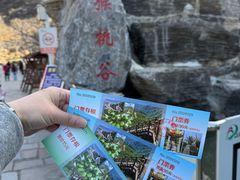 -大岭沟猕猴桃谷风景区