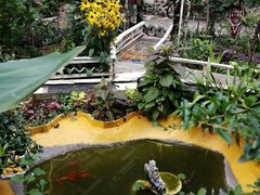 -南京市实验幼儿园