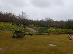 -武汉紫薇都市田园