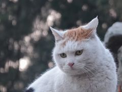 -颐和园