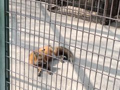 -宿豫区运河湾森林动物园